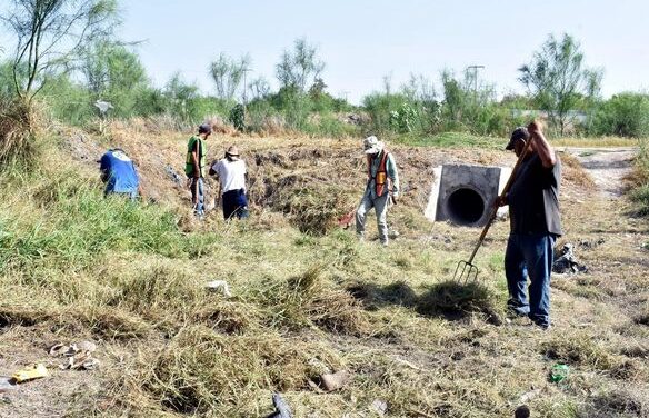 Personal de servicios públicos se encuentra dando mantenimiento a la red de drenes pluviales de las diferentes colonias