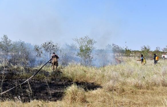 Protección Civil y Bomberos de Río Bravo controla incendio