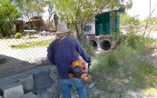 Personal de Parques y Jardines llevan a cabo la limpieza de drenes pluviales