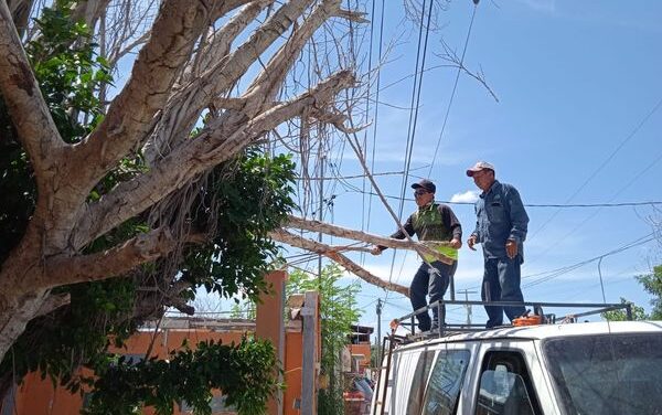 MUNICIPIO EVITA INCIDENTES CON CABLEADO DE ALTA TENSIÓN EN RIVERAS DEL BRAVO