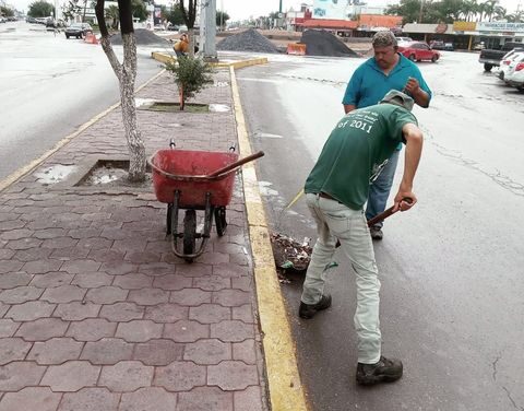 Personal de Servicios Públicos realizan labores de limpieza en camellones de diversas avenidas con el fin de preservar en buen estado estos espacios.