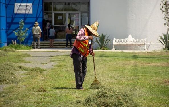 Departamento de Parques y Jardines llevó a cabo labores de limpieza y deshierbe, en el área verde adyacente a la Biblioteca Valle Hermoso.