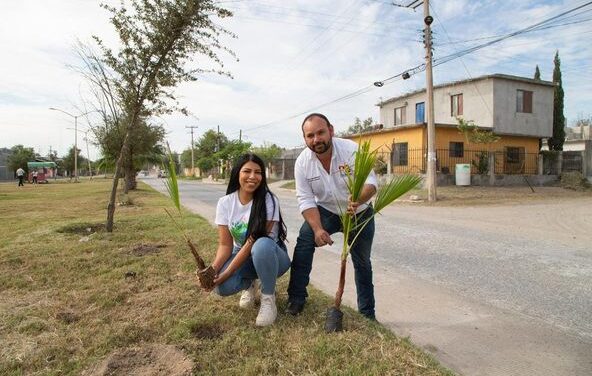 ENTREGA MUNICIPIO 2 MIL PALMERAS A FAMILIAS RIOBRAVENSES