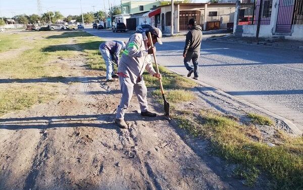 REFORESTA MUNICIPIO DE RÍO BRAVO, ÁREAS VERDES EN LA COLONIA «HIJOS DE EJIDATARIOS».