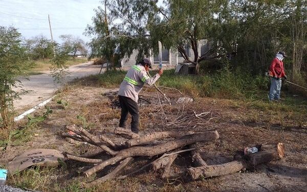 GOBIERNO DE RÍO BRAVO, LIMPIA, ERRADICA MALEZA Y CACHARROS DE FRACCIONAMIENTO UNIDOS AVANZAMOS MÁS