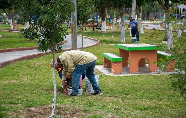 Continúan trabajando con la encomienda de nuestro Presidente, Dr. Alberto Alanis Villarreal