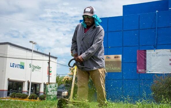 Continúan con el embellecimiento de las distintas áreas verdes del municipio de Valle Hermoso.