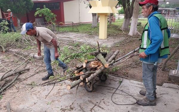 MUNICIPIO RETIRA ÁRBOLES CAÍDOS POR LAS AFECTACIONES CLIMATOLÓGICAS