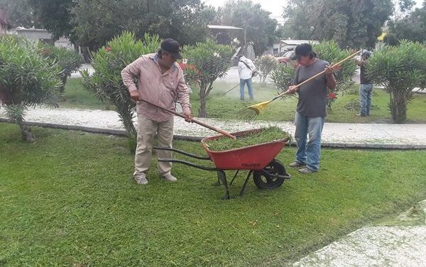 PLAZA EN COL. FUNDADORES VUELVE A SER UN ESPACIO FAMILIAR POR ACCIONES DEL MUNICIPIO