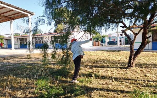 LLEVA MUNICIPIO MANTENIMIENTO A KINDER MONTESSORI Y PRIMARIA MORELOS