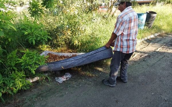 INSTRUYE ALCALDE LIMPIEZA COMPLETA EN BRISAS DEL CAMPO PASEO DEL VALLE