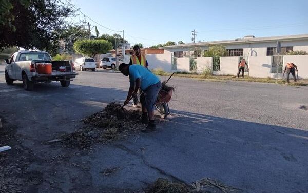LIMPIEZA PERMANENTE ES PRIORIDAD PARA EL GOBIERNO DE RÍO BRAVO EN VIALIDADES PRINCIPALES