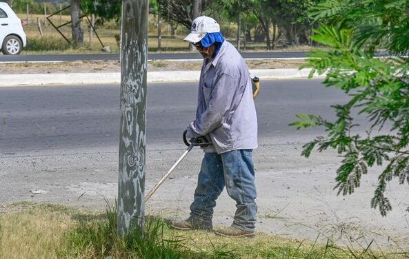 CORTE DE PASTO EN LA AV. LÁZARO CÁRDENAS