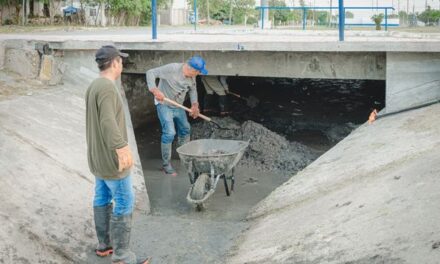 LIMPIEZA DEL CAMELLON EN BULEVAR DE LA CALLE SÉPTIMA.