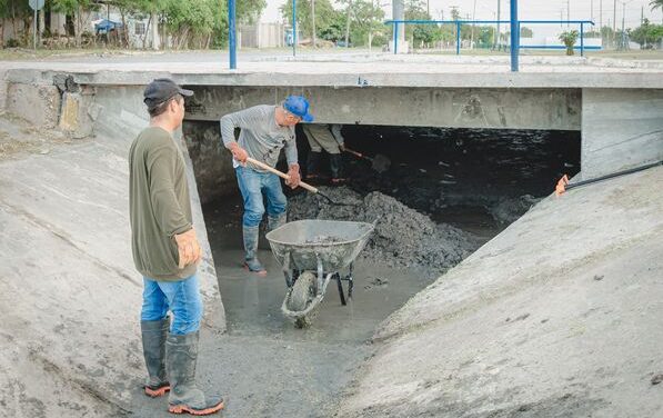 LIMPIEZA DEL CAMELLON EN BULEVAR DE LA CALLE SÉPTIMA.