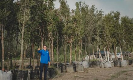 ¡PARA EL PRESIDENTE MUNICIPAL, DR, ALBERTO ALANIS VILLARREAL EL MEDIO AMBIENTE ES PRIORIDAD!