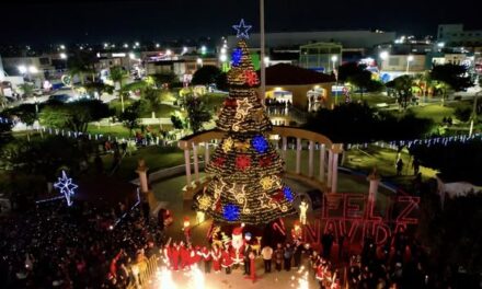 Encendido del Pino Navideño Municipal