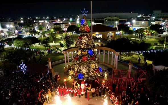 Encendido del Pino Navideño Municipal